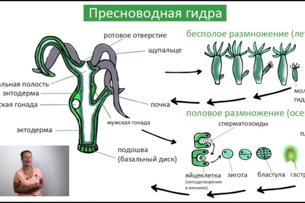 Кракен даркнет krawebes