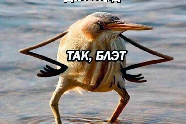 Kraken зеркало kraken dark link