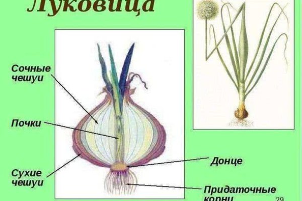 Кракен сайт вход официальный зеркало