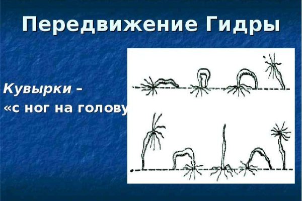Каталог сайтов даркнет