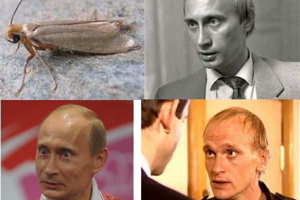 Что такое кракен сайт в россии