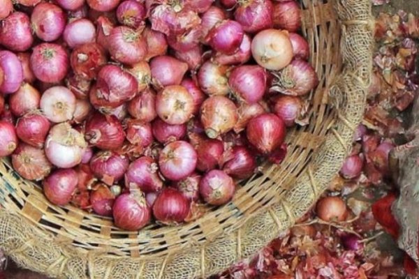 Kraken onion ссылка
