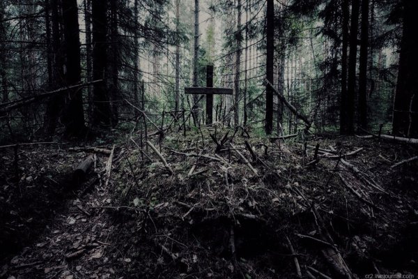 Кракен сайт зеркало рабочее на сегодня