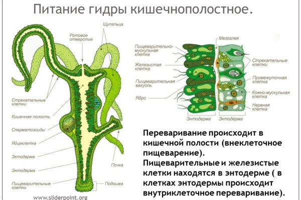 Кракен шоп нарк
