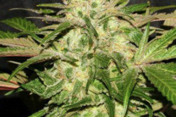 Удобные методы на krab6 cc