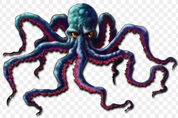 Kraken 14 at