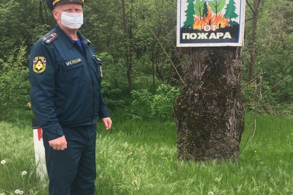 Кракен соль