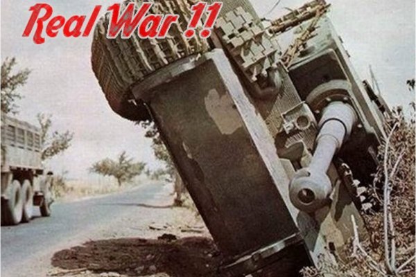 KRAB3 - AT-сервис анализа поведения пчёл