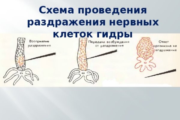 Kra36cc