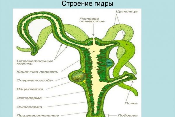 Kraken официальный сайт ссылка krk store com