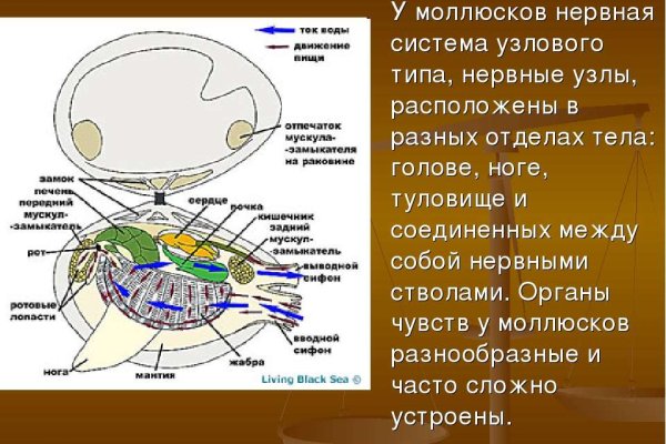 Kra48.at