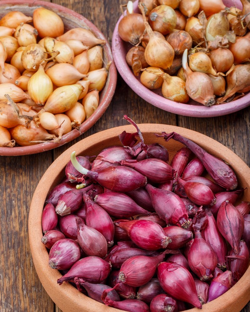 Быстрые технологии только через тор кракен