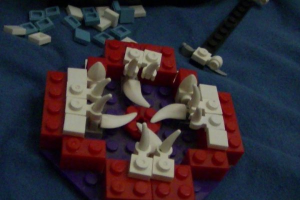 Kraken 12 at